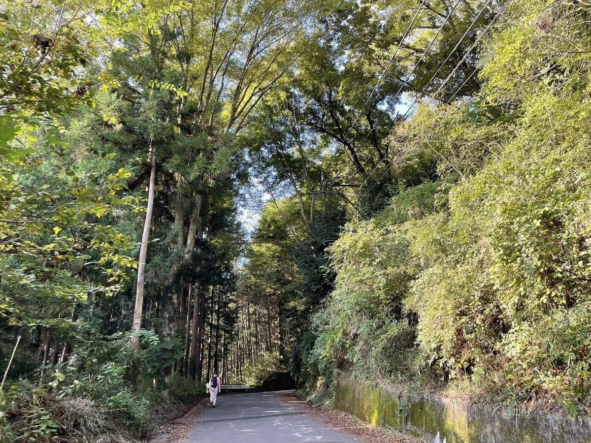 画像37