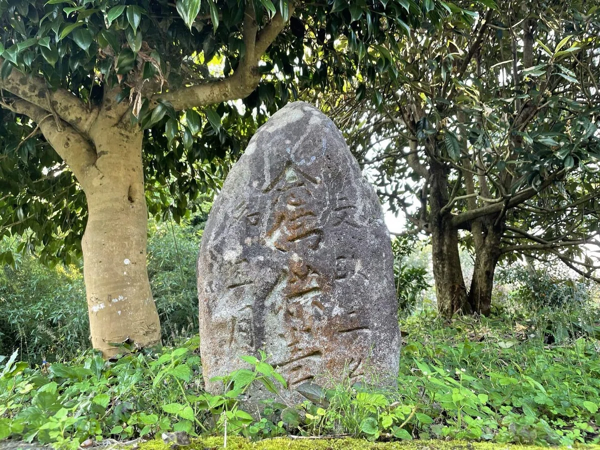 画像41