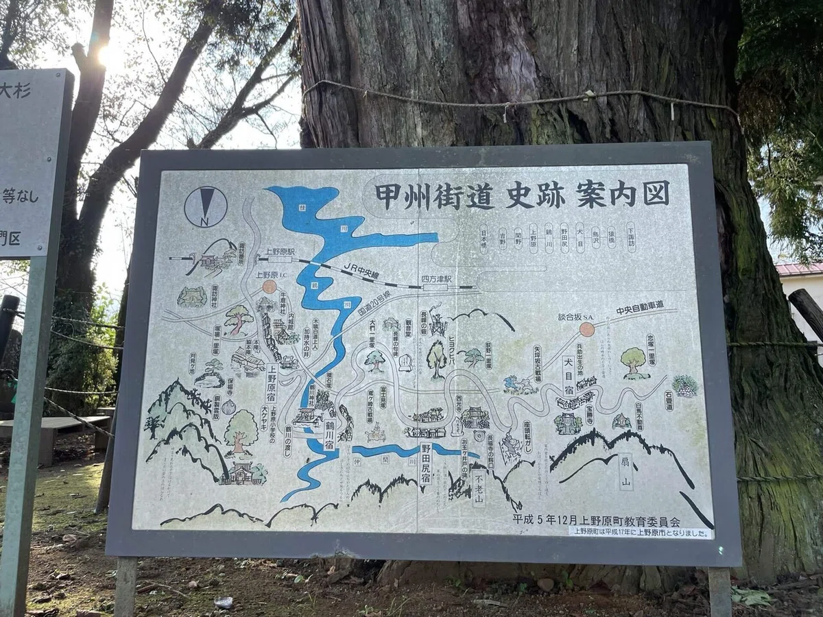 画像45