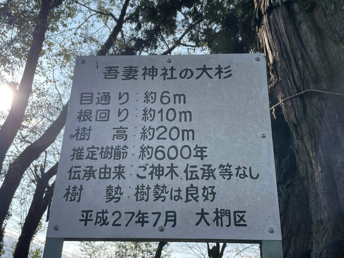 画像46