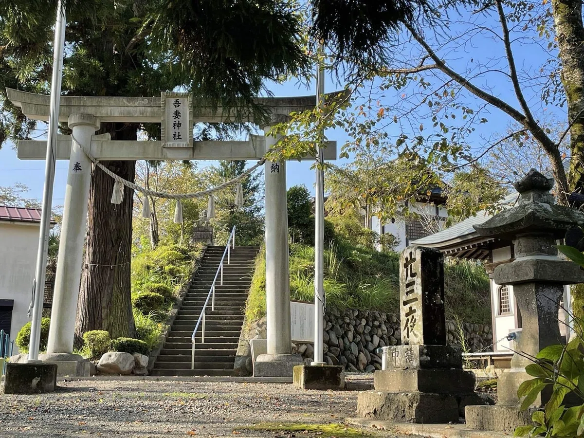 画像49