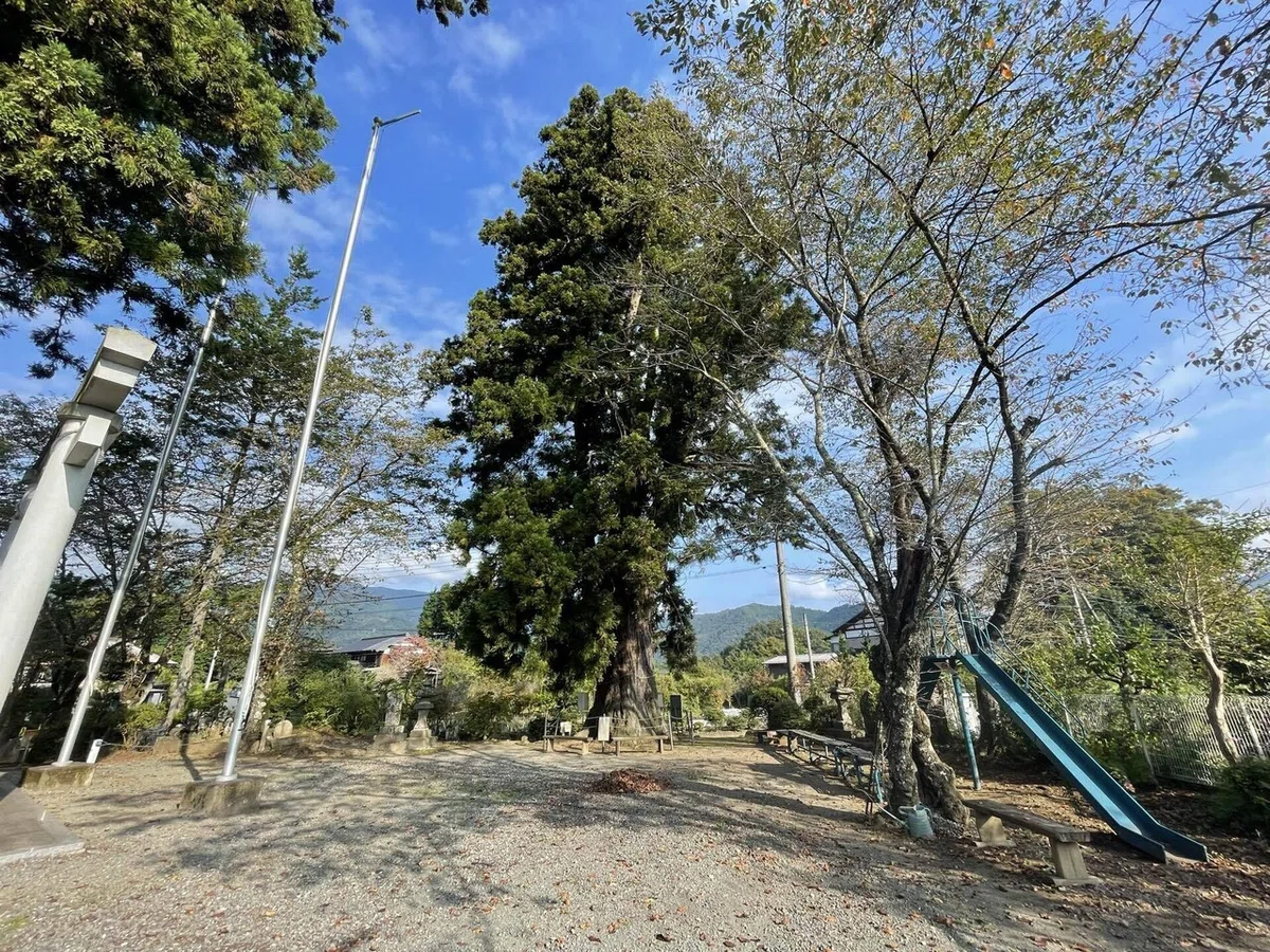 画像51