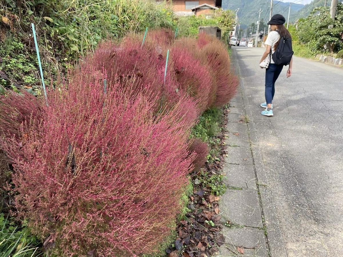 画像63