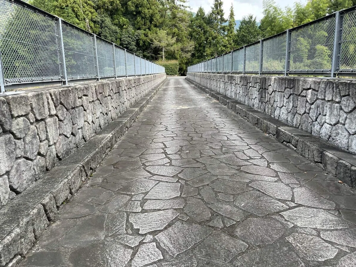 画像85