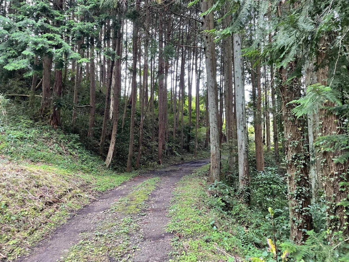 画像87