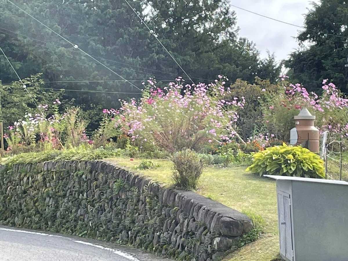 画像91