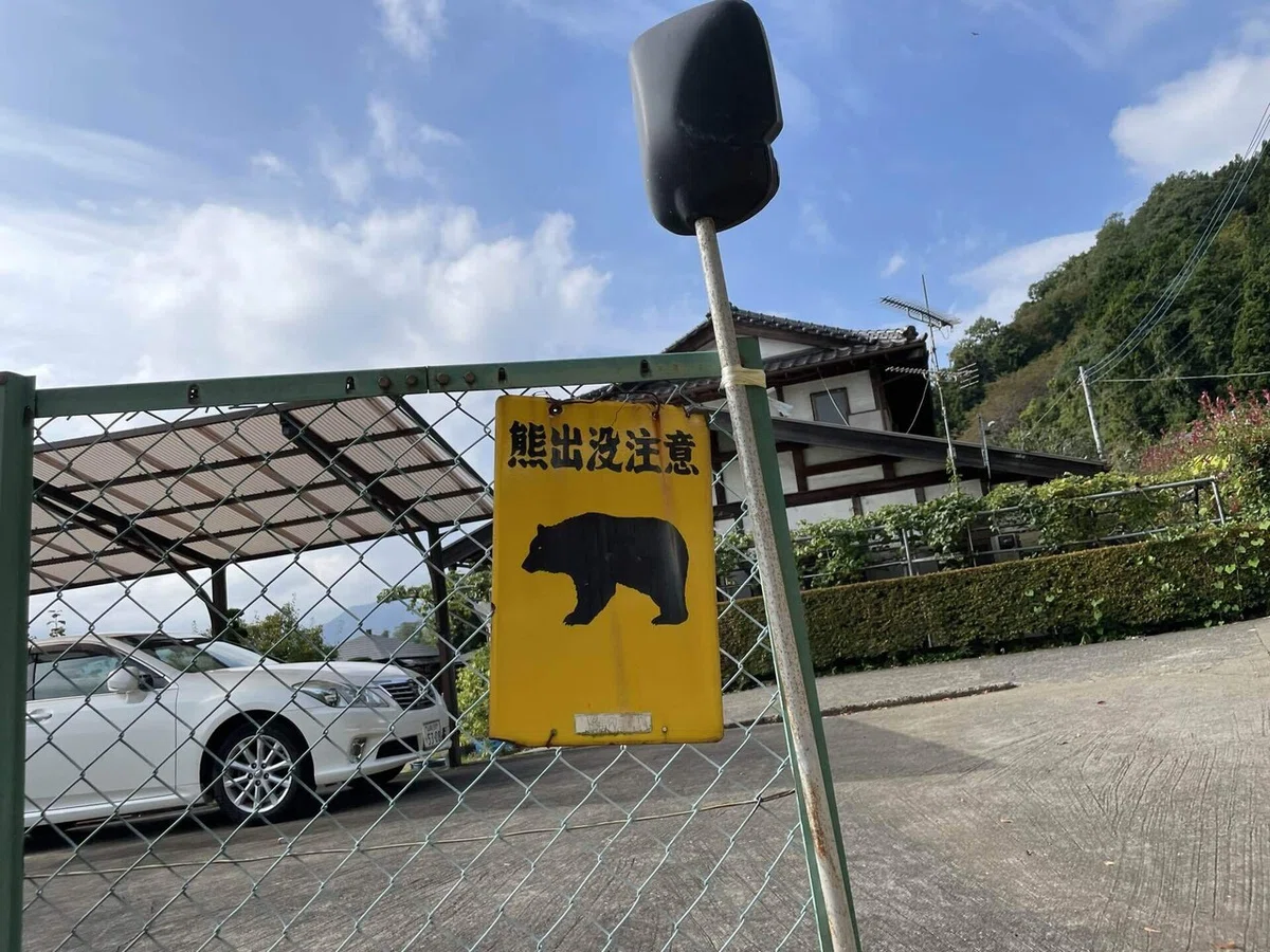 画像94