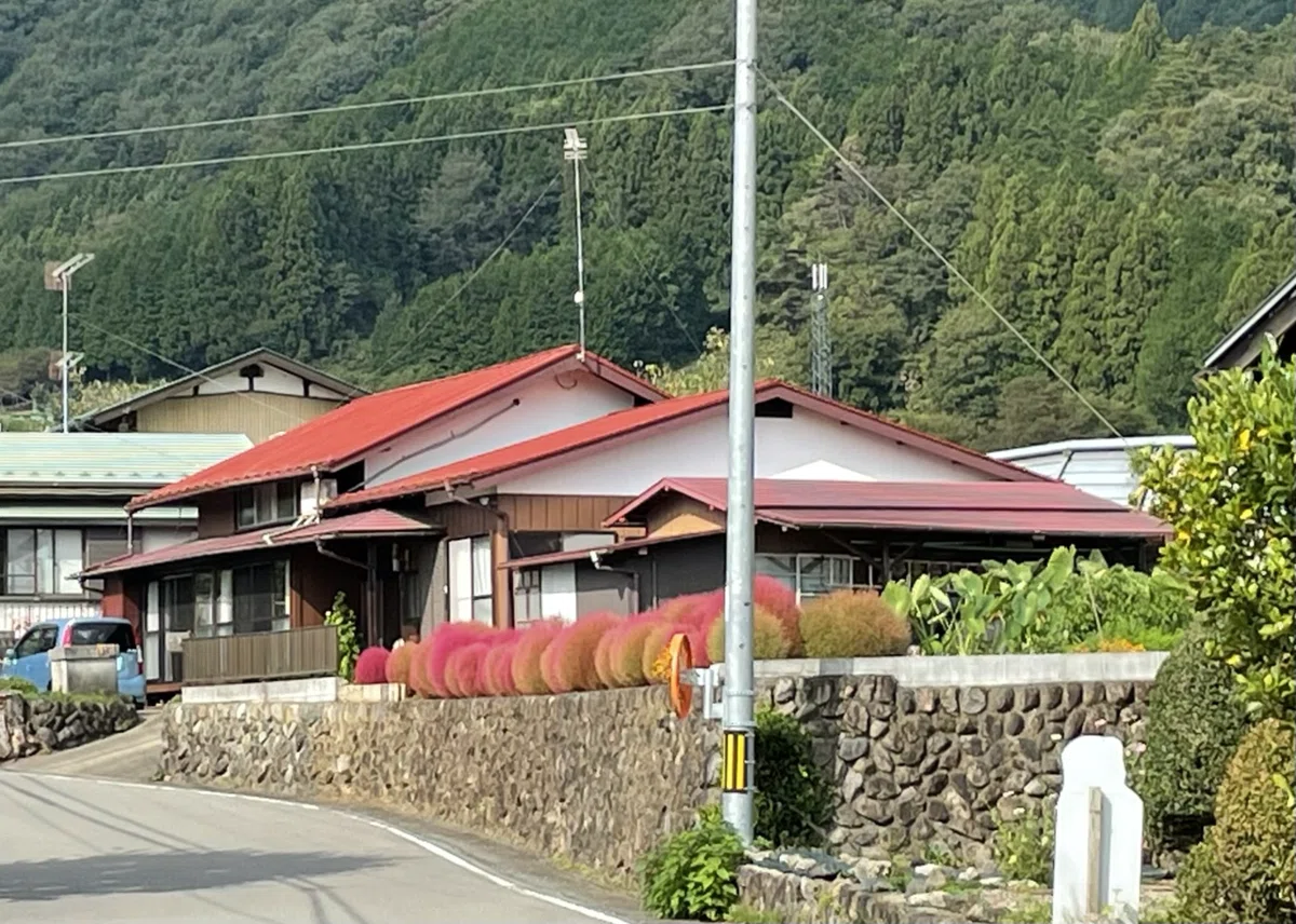画像96