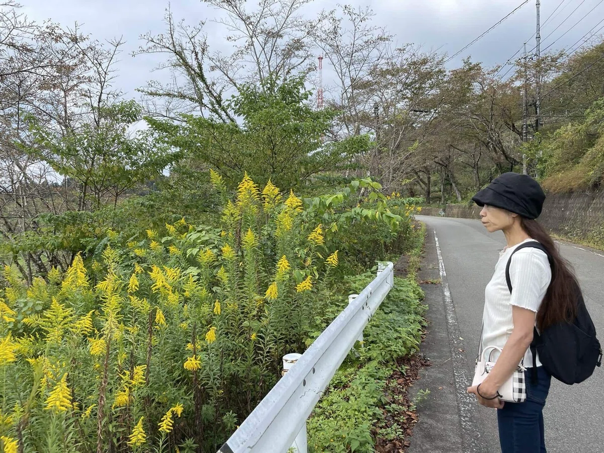 画像106