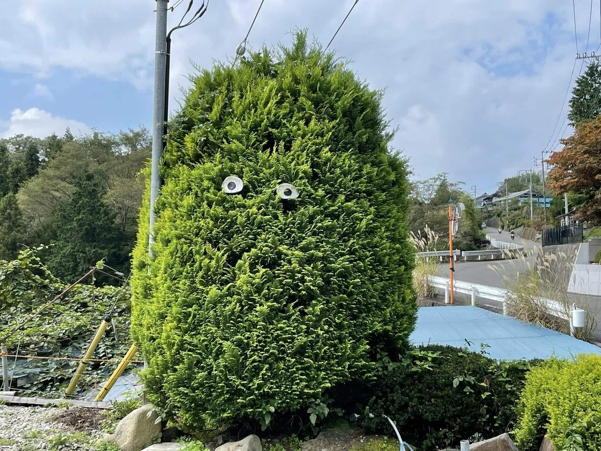 画像111