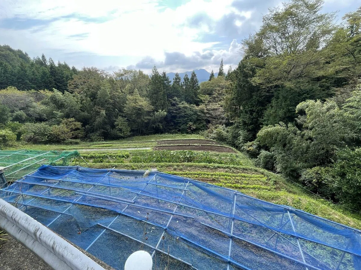 画像113