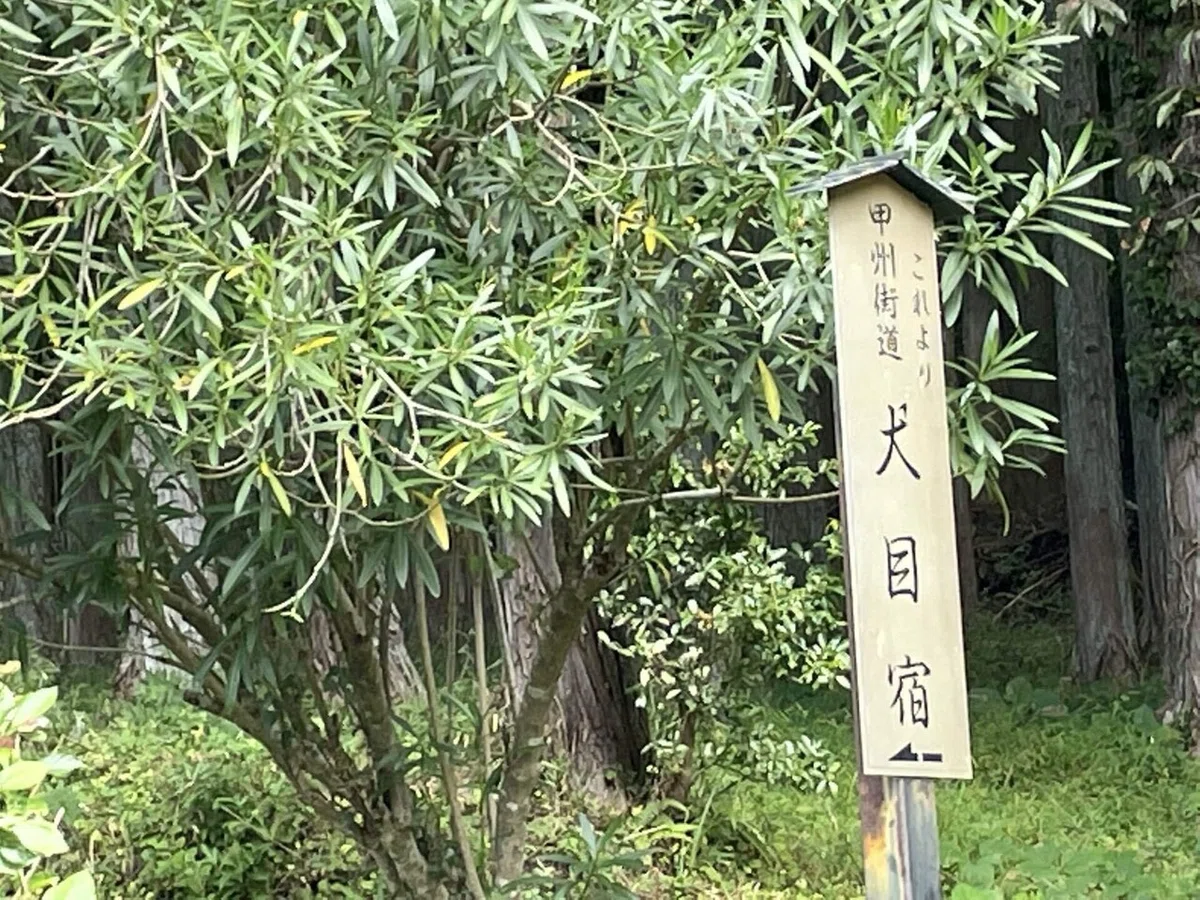 画像121