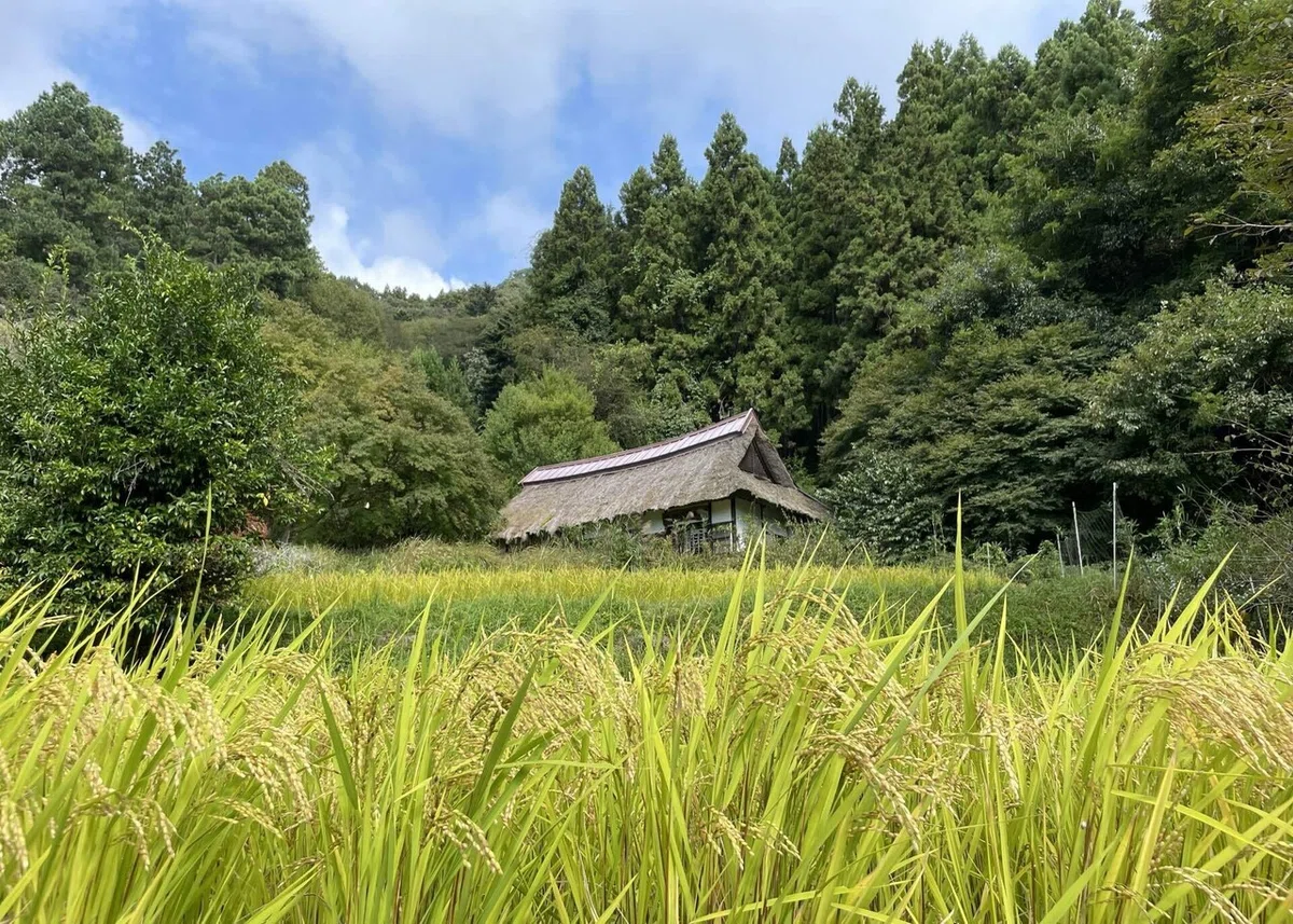 画像125