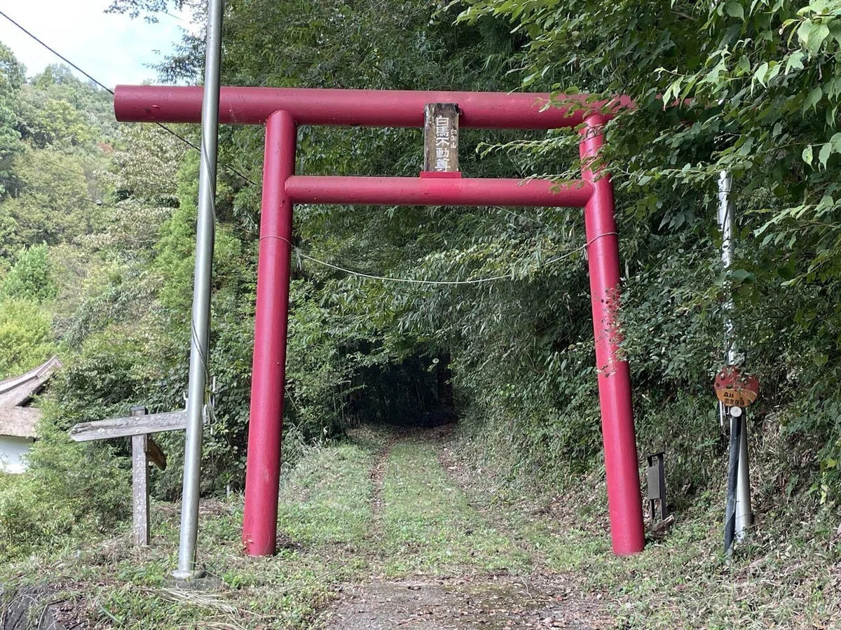 画像126