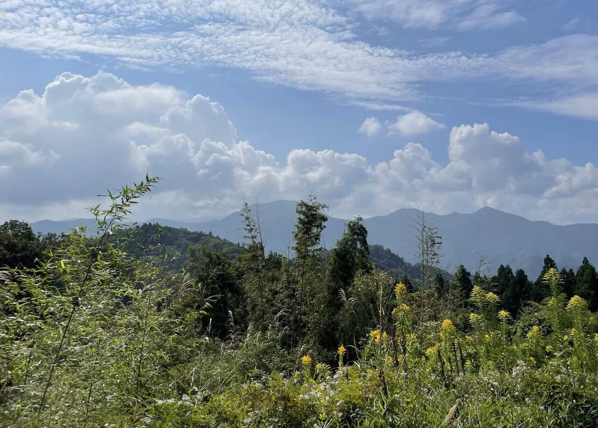 画像131