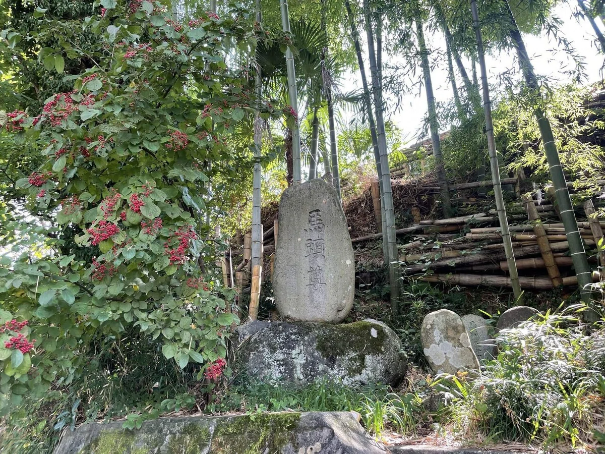 画像165