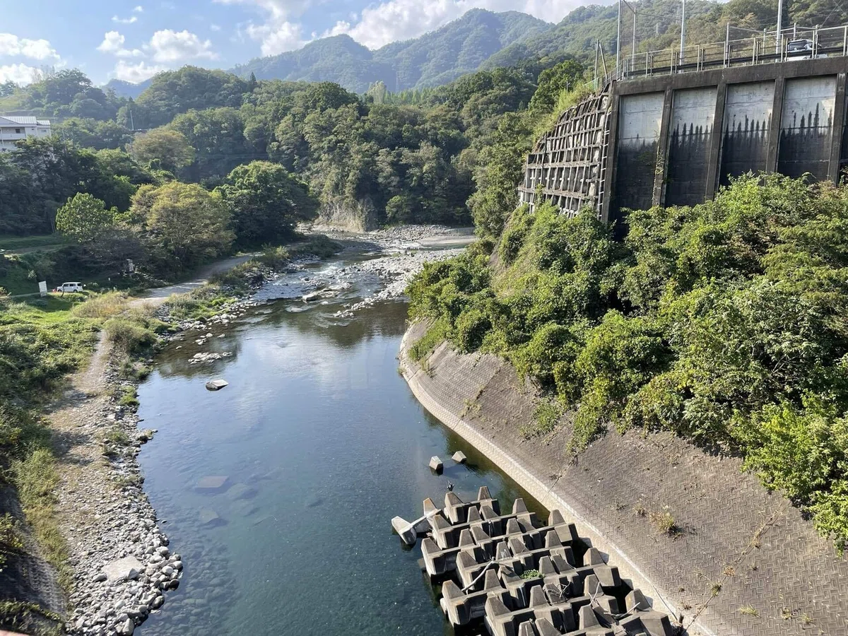 画像205
