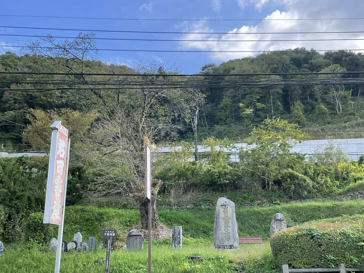画像210
