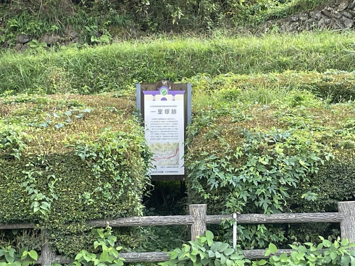 画像213