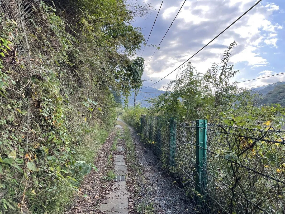 画像233