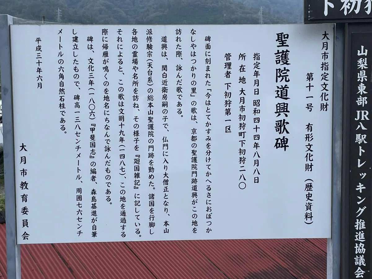 画像242