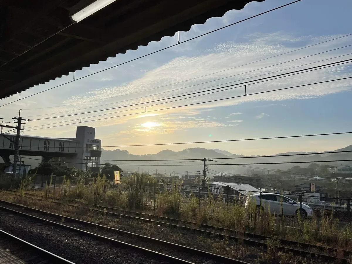 画像253