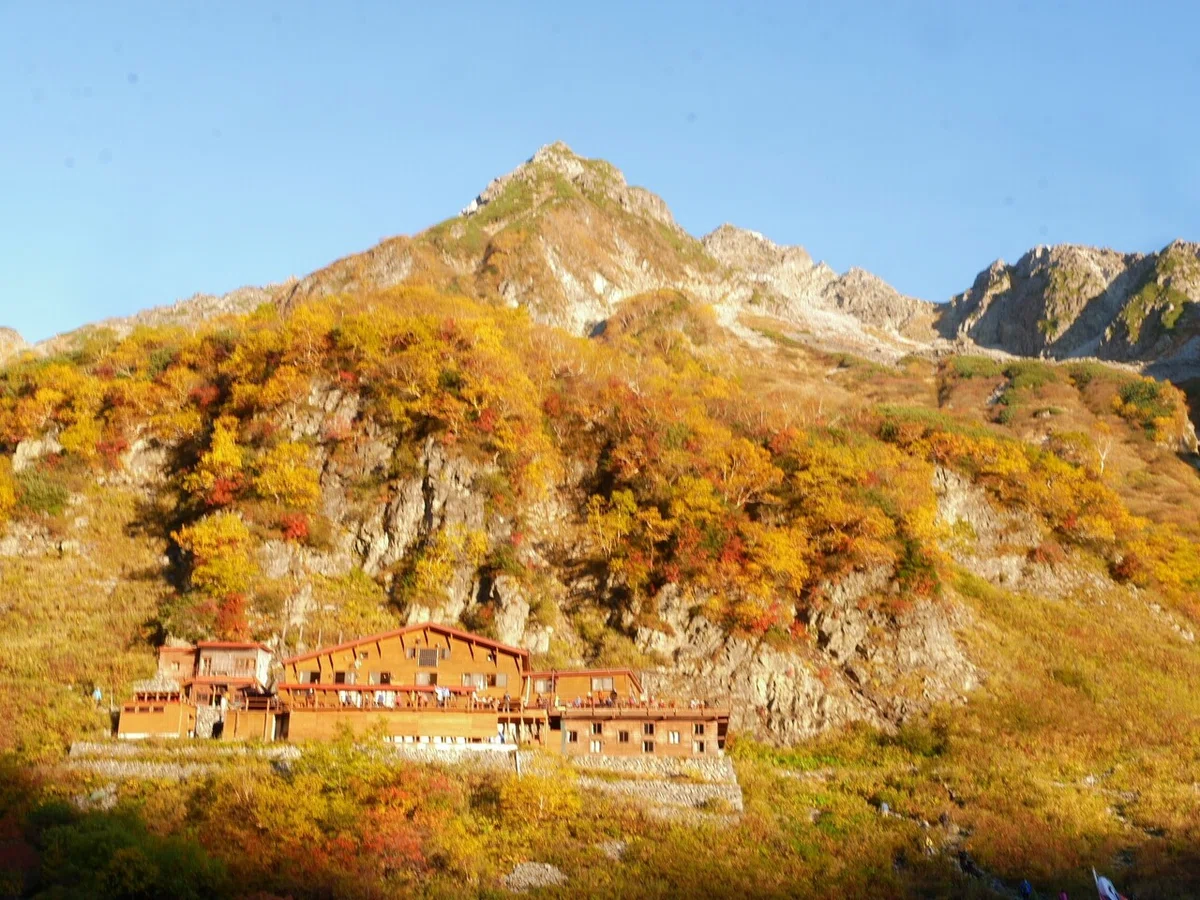 画像9