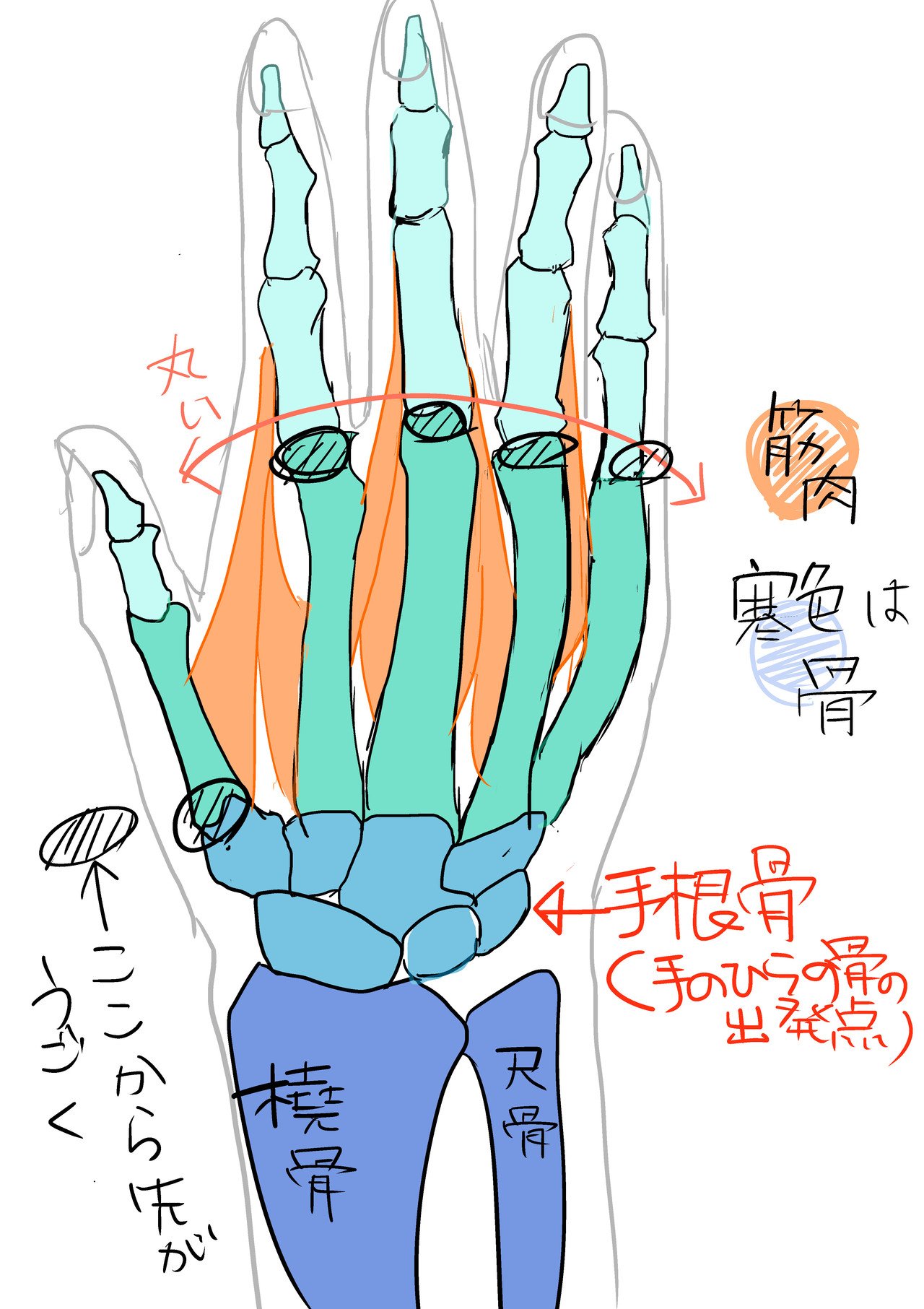 第一回 手 まとめ 描き方のコツ 凪沙 Note 第一回 手 まとめ 描き方のコツ 凪沙 Note