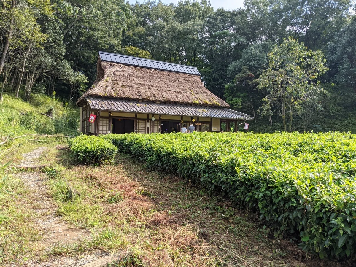画像25