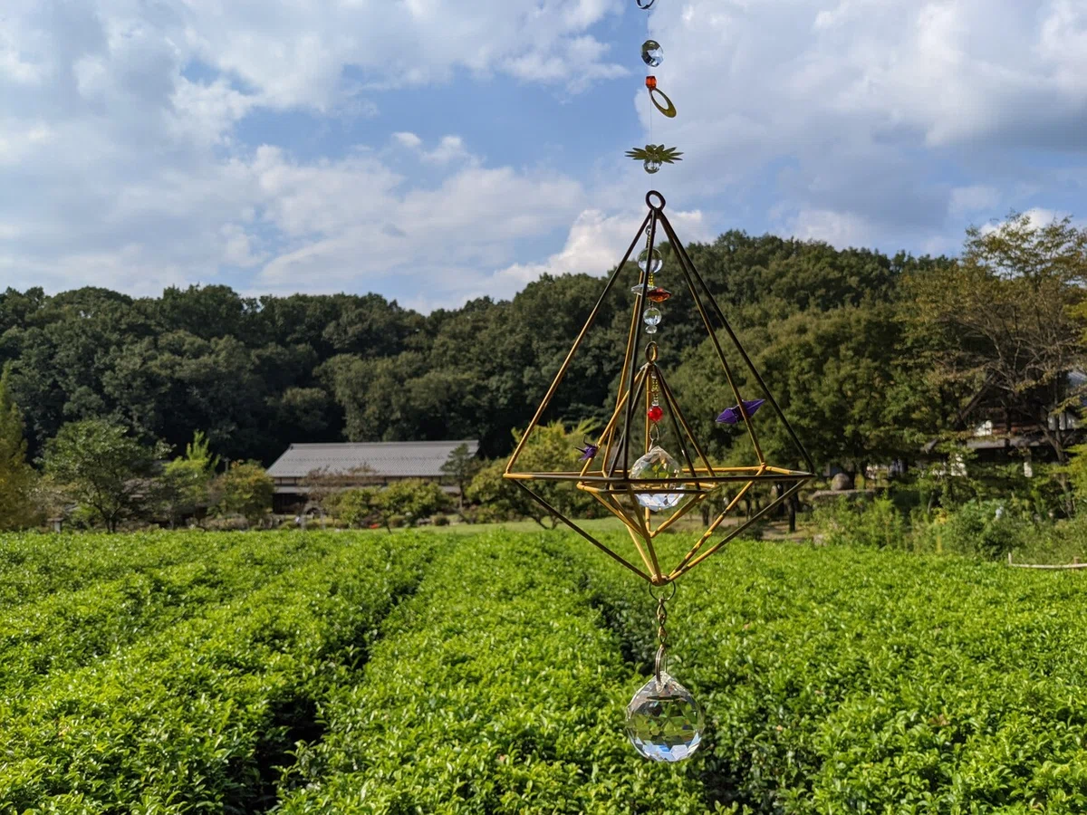 画像26