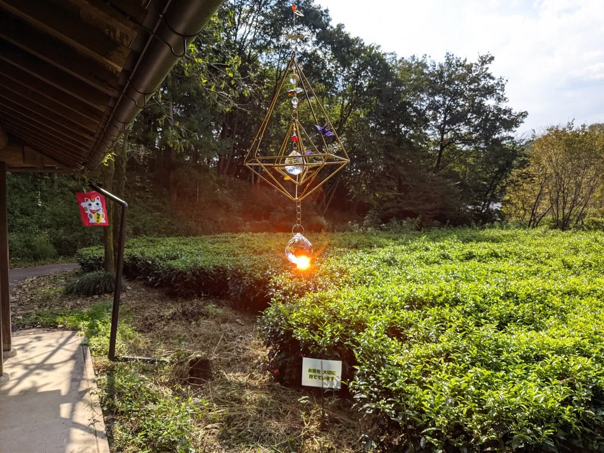 画像28
