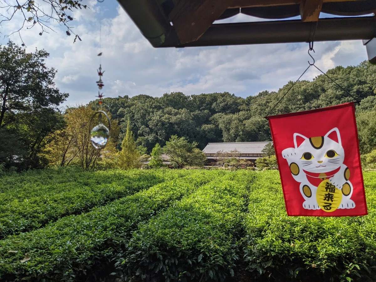 画像30