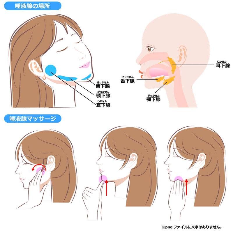 唾液　マッサージ
