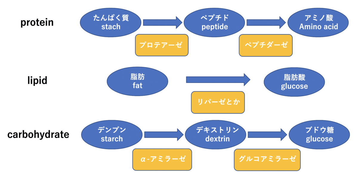 スクリーンショット 2021-10-10 23.18.09