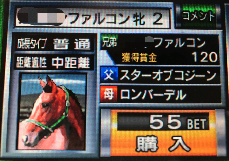 G1 ターフワイルド３攻略 購入馬一覧 ５５bet編 Masakichi Note