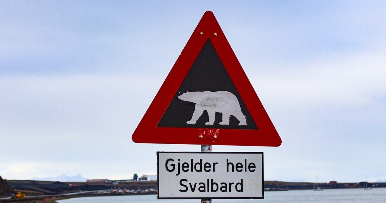 しろく の新着タグ記事一覧 Note つくる つながる とどける