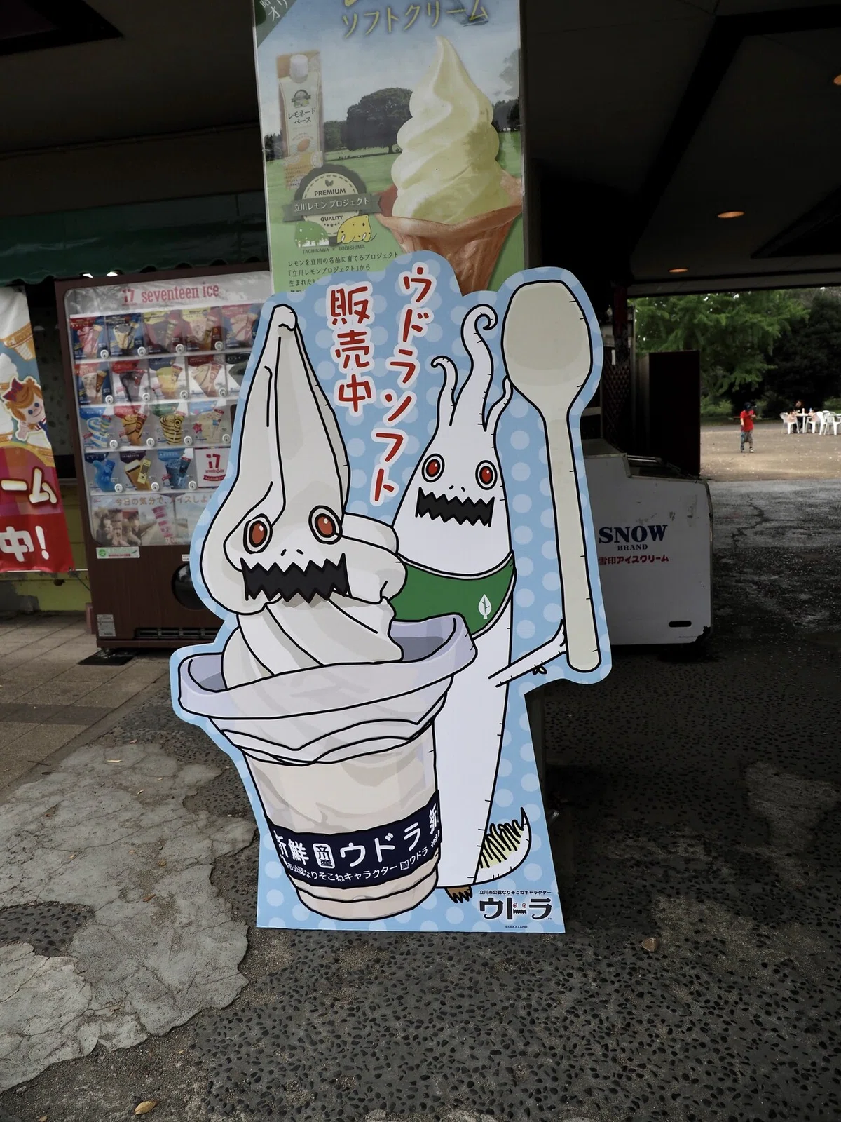 画像7