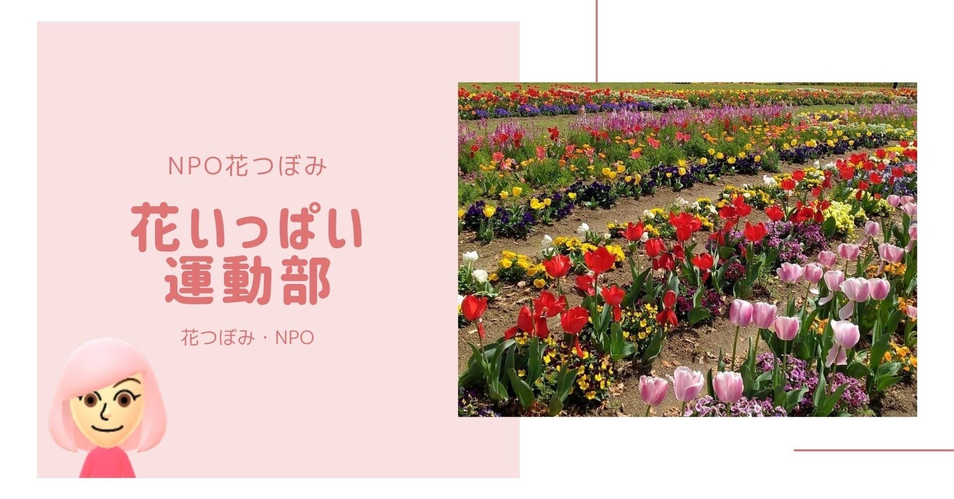 はじめまして 花つぼみ ｎｐｏです 花好き仲間が集まって花を植えよう 自分たちの街を 花でいっぱいにしたい 花いっぱい運動 ボランティア募集 21年9月23日 花つぼみ ｎｐｏ 和歌山県 Note