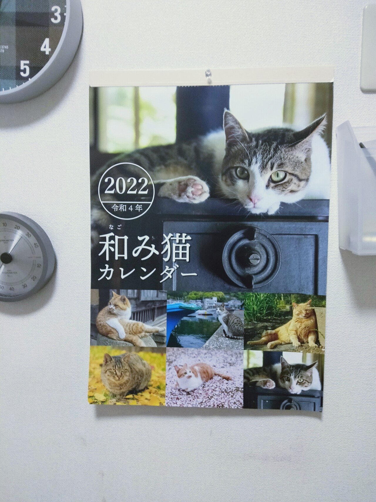 Fwf なごみ Fwf 和み猫カレンダー 110円 ダイソー いつも売り切れてまうで はやめにダイソー 日本風景のヤツと迷うも やっぱり Fwf デブ猫好きよ オレたち 鳥裸族 Note