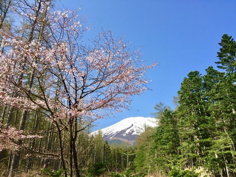 2018.04.29 #富士山 