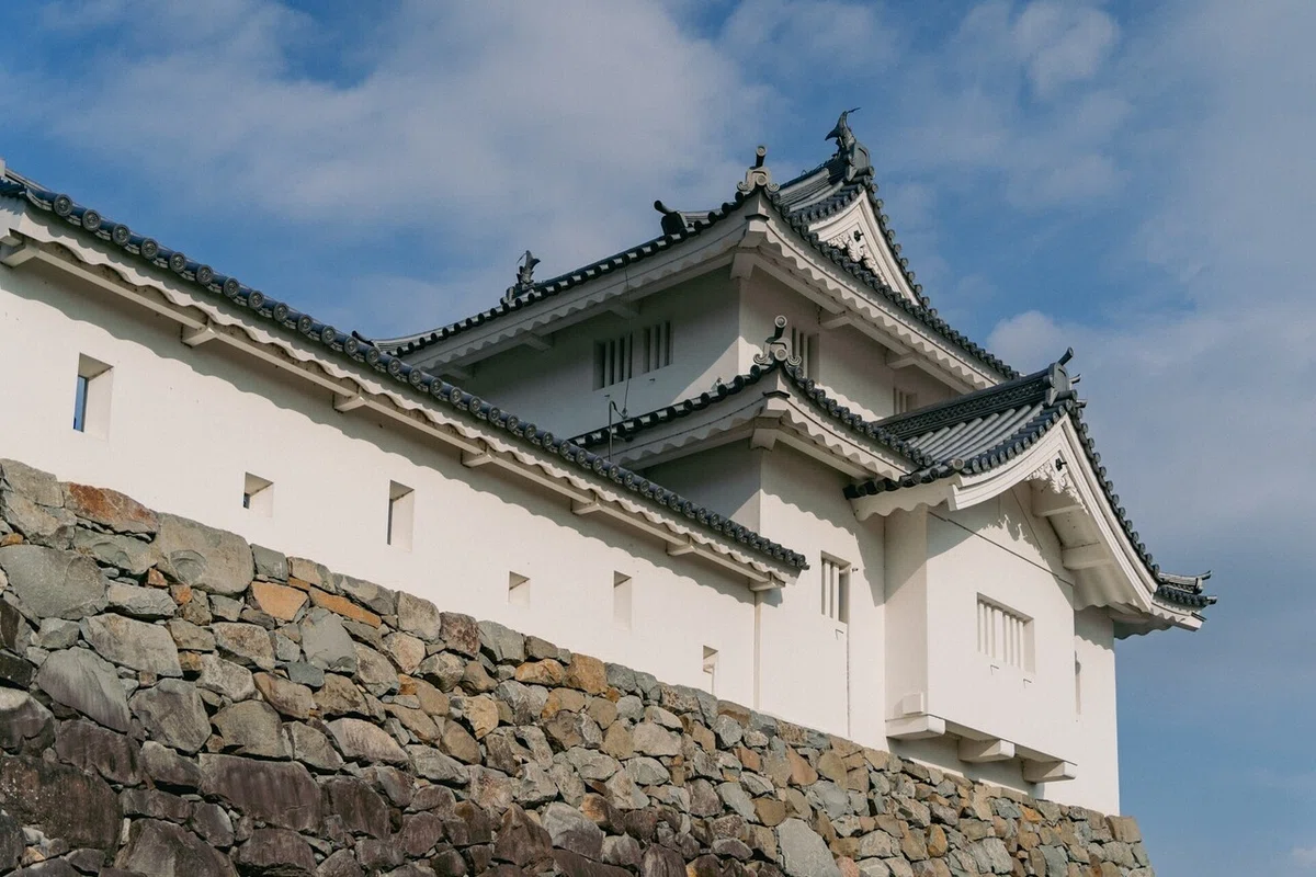 画像11