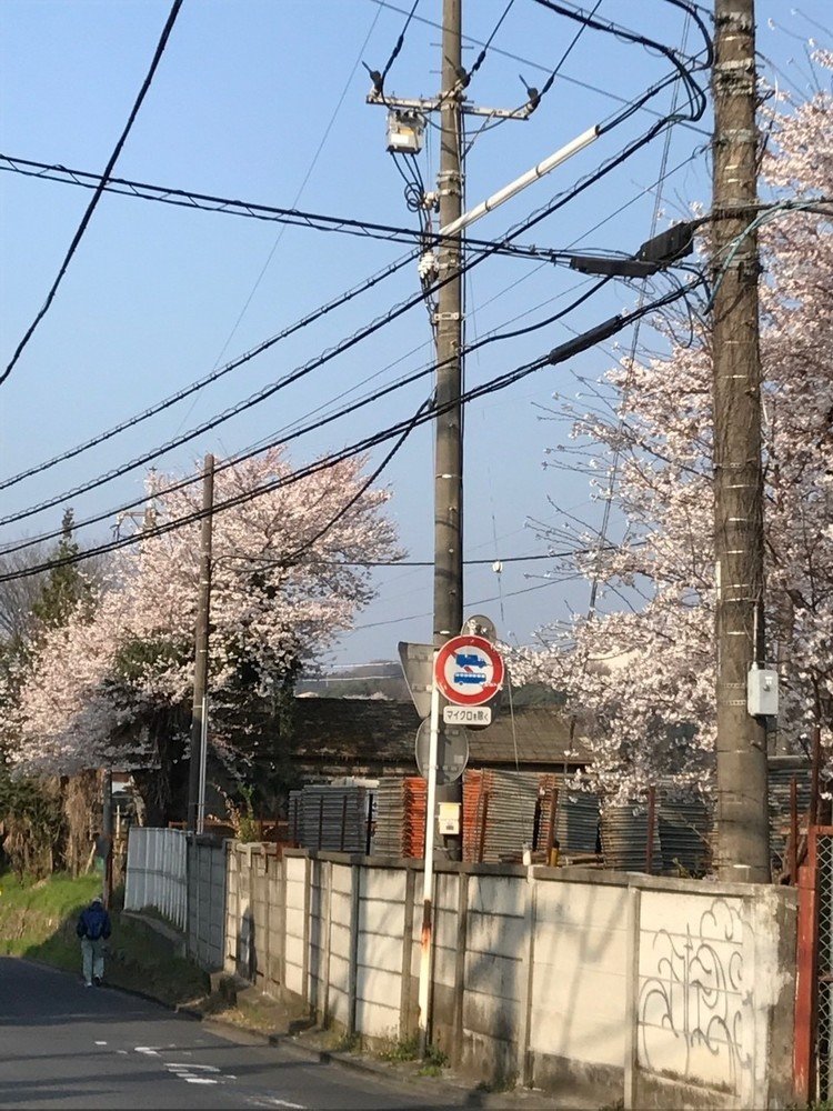 桜を撮ろうとレンズを向けた地元の坂道