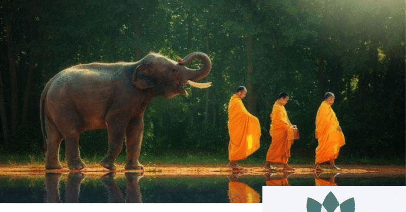 スピリチュアルヒーリング の新着タグ記事一覧 Note つくる つながる とどける