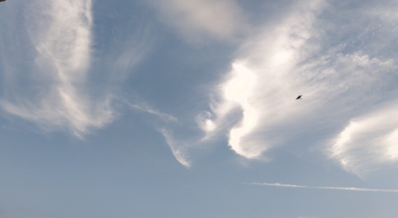 龍神雲を見ました 待ち受けにするといい事があるらしいです よかったら 皆さんもどうぞ 龍神様の右側に写っている黒いのは 何でしょう 鳥 もしかしてufo 分かる人 教えて下さ 自分発見カウンセラー陽の光 Note