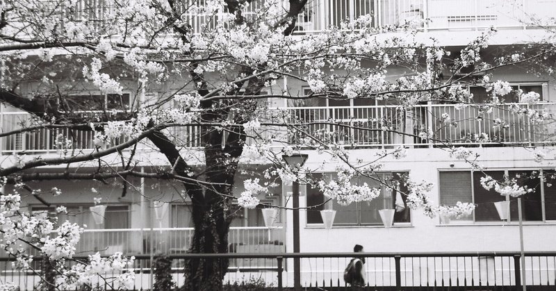 ボクは知らない 巣鴨 子供置き去り事件 事件備忘録 中の人 Note ボクは知らない 巣鴨 子供置き去り事件 事件備忘録 中の人 Note