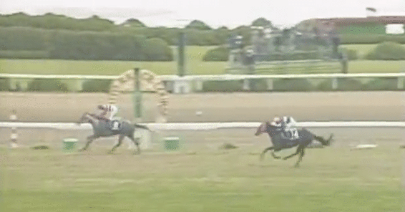 無事是名馬〜藤島泰輔「馬主の愉しみ」を読んだ。｜稲庭うどん