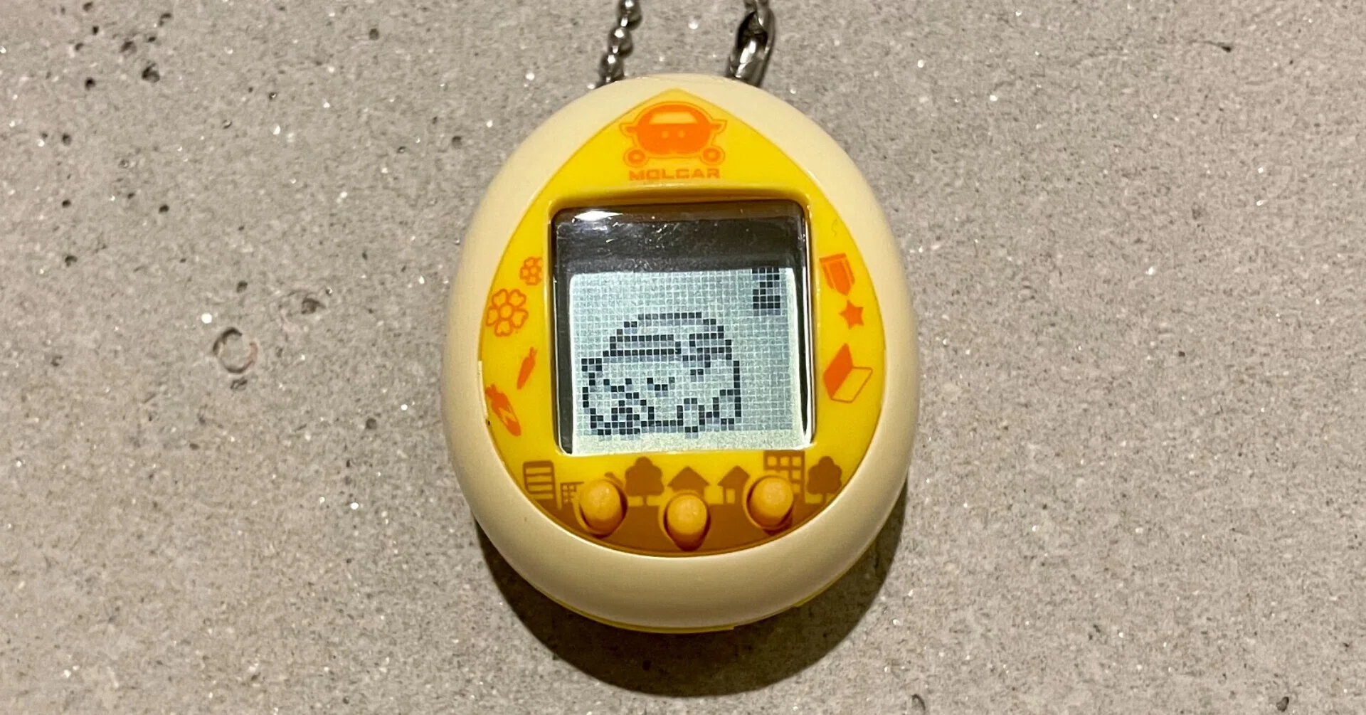 おうちについに『モルカっち』が来た！｜pictoria