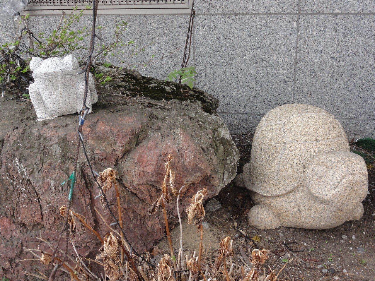 ゾウガメ の新着タグ記事一覧 Note つくる つながる とどける