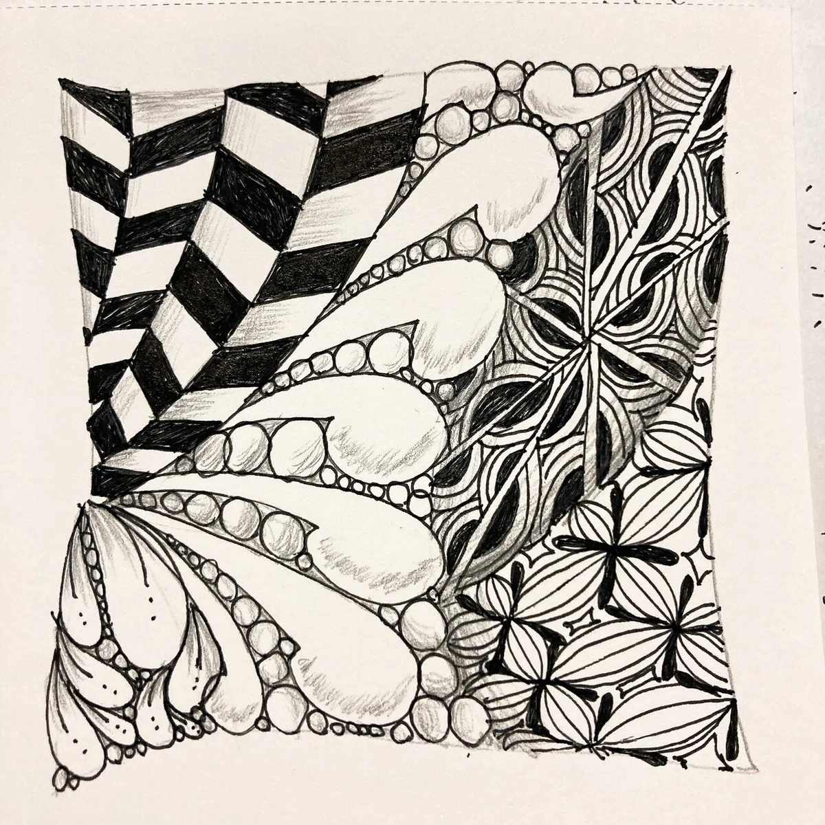 画像18