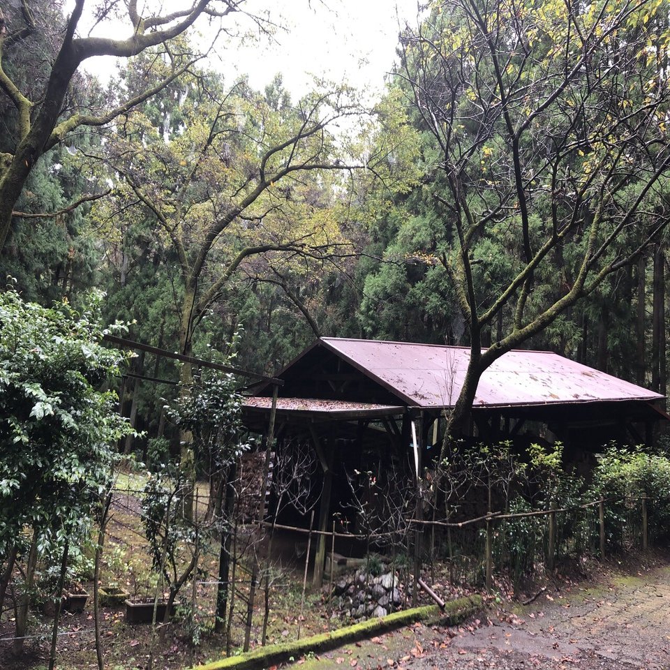 中島克童 ☆ 黒猪口 ☆ 共箱共布栞 ☆ 検 伊賀 土楽